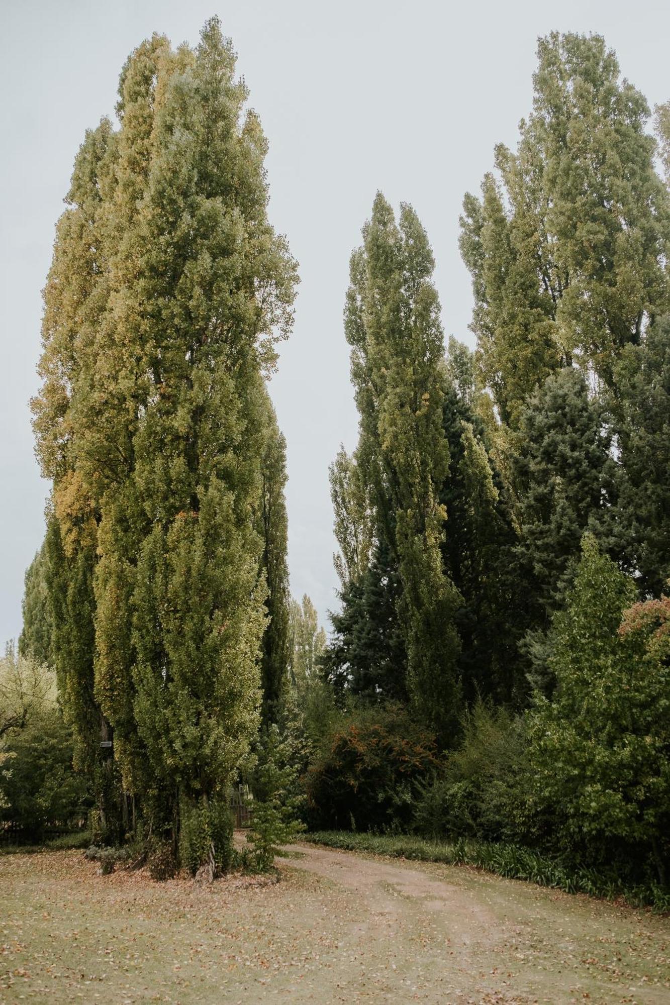 Apartment Platteland